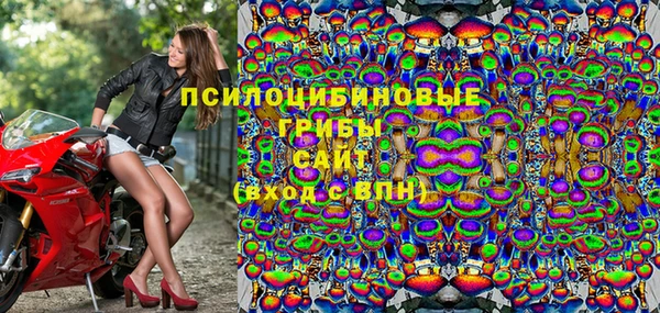 мет Бородино
