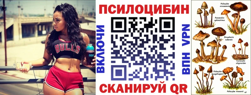 Купить закладки  Невьянск  Галлюциногенные грибы мухоморы 